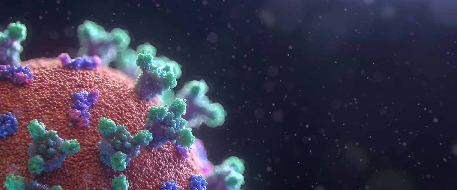 Virus Covid19