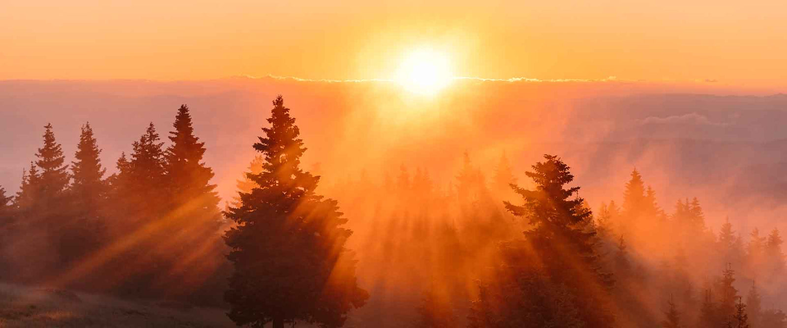 Jak důležitý je vitamín D?